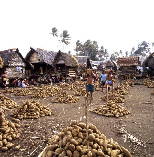 Yalumuwa village yam festival, Trobriand Islands, Papua New Guinea, approximately 1968 / Robin Smith