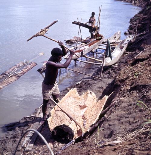 Workers crushing and washing sago palms, Yuat River, East Sepik Province, Papua New Guinea, approximately 1968 / Robin Smith