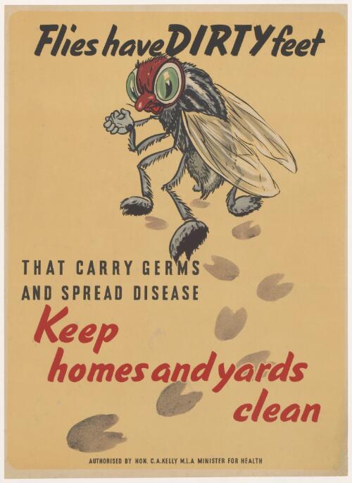 Flies have dirty feet that carry germs and spread disease : keep homes and yards clean