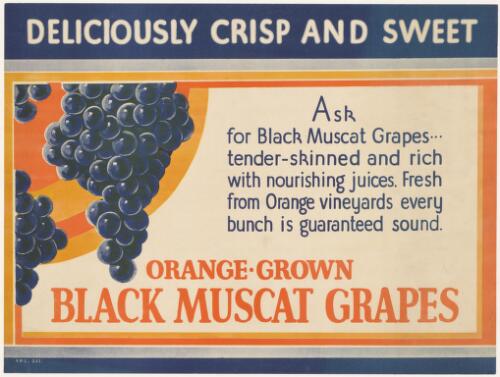 Deliciously crisp and sweet [picture] : Orange grown black muscat grapes