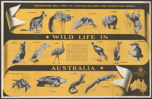 Wild life in Australia : information wall sheet no. 1 / Australian News and Information Bureau