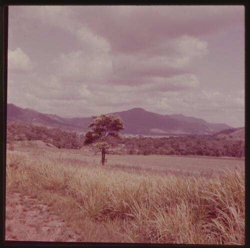 Barron Gorge, Kuranda, Queensland, 1963 / Michael Terry