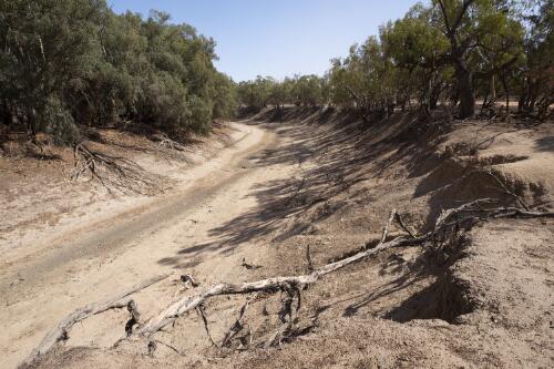 Drought effected lower Darling River Basin, north of Pooncarie, New South Wales, March 2020 / Andrew Chapman
