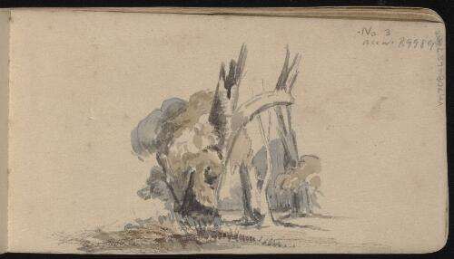 Tree trunks, New South Wales, approximately 1868, 1 / Edward Combes