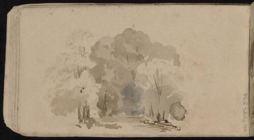 Bushland, New South Wales, approximately 1868, 2 / Edward Combes