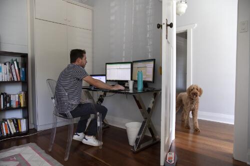 Bren an engineer working from home during the COVID-19 pandemic, Perth, Western Australia, 3 April 2020 / Philip Gostelow