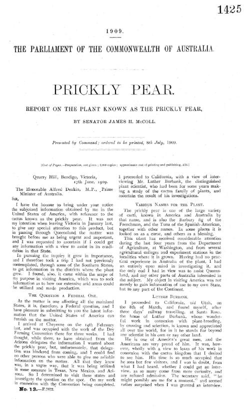 Prickly pear : report on the plant known as the prickly pear