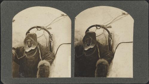 Stereographs of the British Antarctic Expedition, 1907-1909 / T. W. Edgeworth David