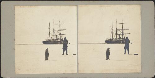 Leo Arthur Cotton standing next to a penguin with the Nimrod docking next to sea ice at Cape Royds landing, Ross Island, Antarctica, 1908 / T. W. Edgeworth David