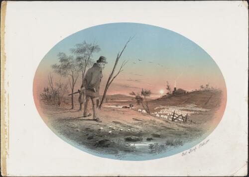 Out sheep station, 1855 / S. T. Gill