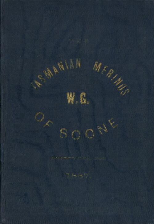 The Scone merinos / owned and bred by Messrs. W. Gibson & Son