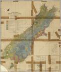 South Island, New Zealand showing vegetation / compiled by F.W. Hilgendor