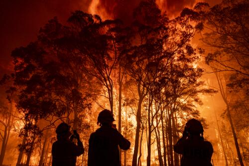 Black Summer bushfire crisis, New South Wales, 2019-2020 / Matthew Abbott