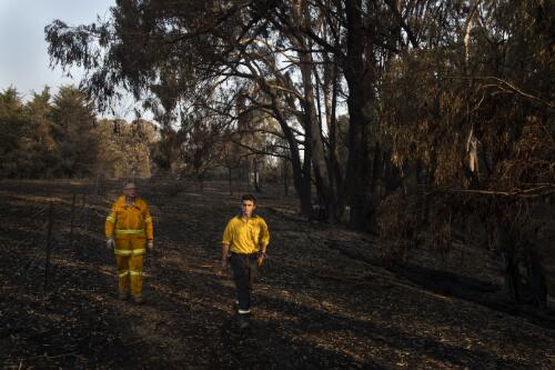Volunteer firefighters Edmund Blenkins and Michael Blenkins assessing their property damaged by the Currowan bushfires, near Batlow, New South Wales, 9 January, 2020 / Matthew Abbott