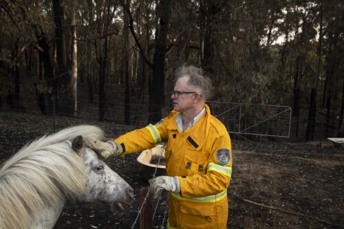 Volunteer firefighter Michael Blenkins with his pet pony, assessing his property damaged by the Currowan bushfires, near Batlow, New South Wales, 9 January, 2020 / Matthew Abbott