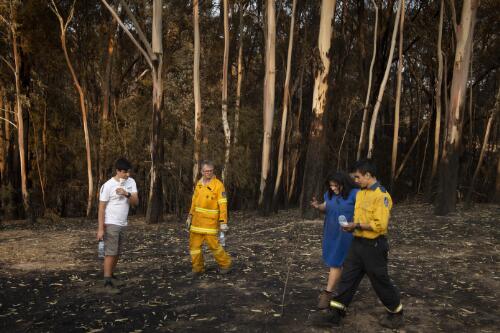 Michael Blenkins, Sulari Gentill, Edmund Blenkins and Atticus Blenkins assessing their family property damaged by the Currowan bushfires, near Batlow, New South Wales, 9 January, 2020 / Matthew Abbott