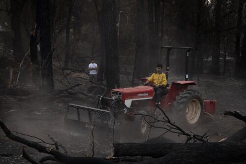 Edmund Blenkins on a tractor clearing burnt trees blocking access to the family property damaged by the Currowan bushfires, near Batlow, New South Wales, 9 January, 2020 / Matthew Abbott