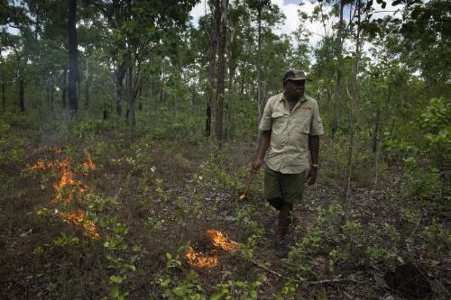 Victor Cooper using tree bark as traditional burning technique to prevent wild bushfires, Kakadu, Northern Territory, 15 January, 2020 / Matthew Abbott