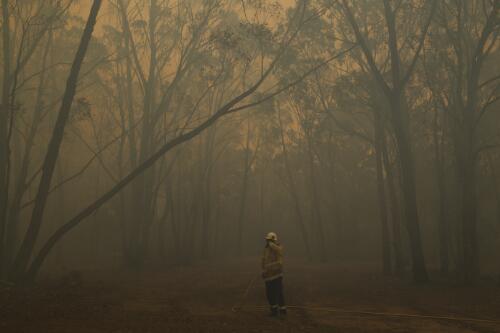 Fire fighters battling a bushfire burning out of control in High Range, Southern Highlands, New South Wales, 23 January, 2020 / Matthew Abbott