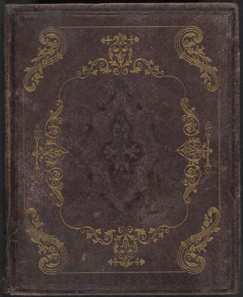 Journal of Ellis Rowan, 1859-circa 1870 [manuscript]