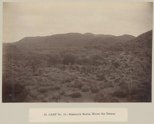 Camp no. 19, Birksgate Range, Mount Sir Thomas, Elder Scientific Exploration Expedition, South Australia, approximately 1891, 2 [picture] / Frederick Elliott