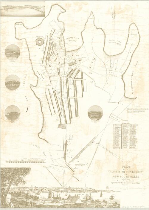 Plan of the town of Sydney in New South Wales [cartographic material] / Jas. Meehan