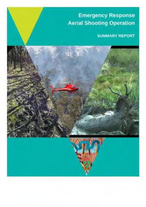 Emergency response aerial shooting operation : summary report