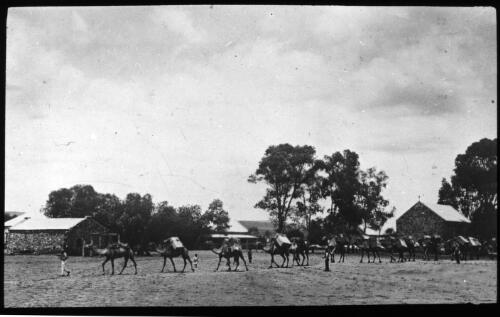 Camel train at a settlement [transparency] : a deputation slide of the AIM [Australian Inland Mission] Head Office, 1926-1940/ [John Flynn?]