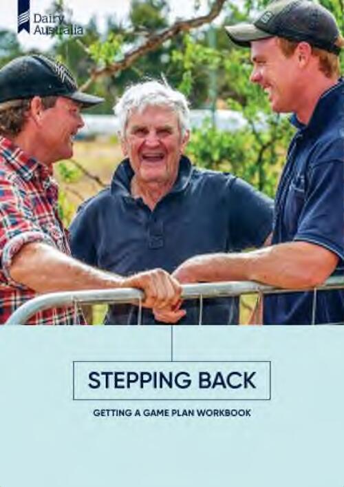 Stepping back : getting a game plan workbook