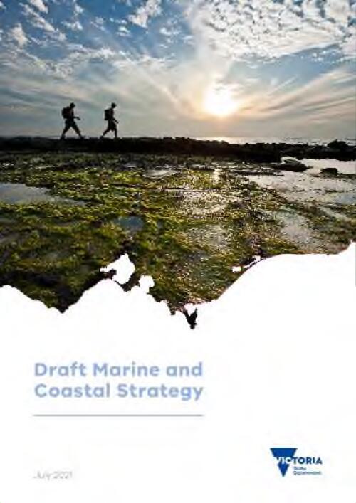 Draft marine and coastal strategy