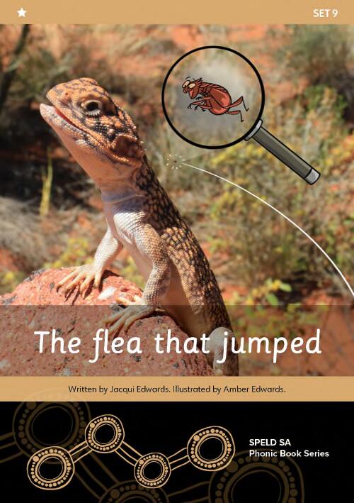 The flea that jumped / written by Jacqui Edwards ; illustrated by Amber Edwards