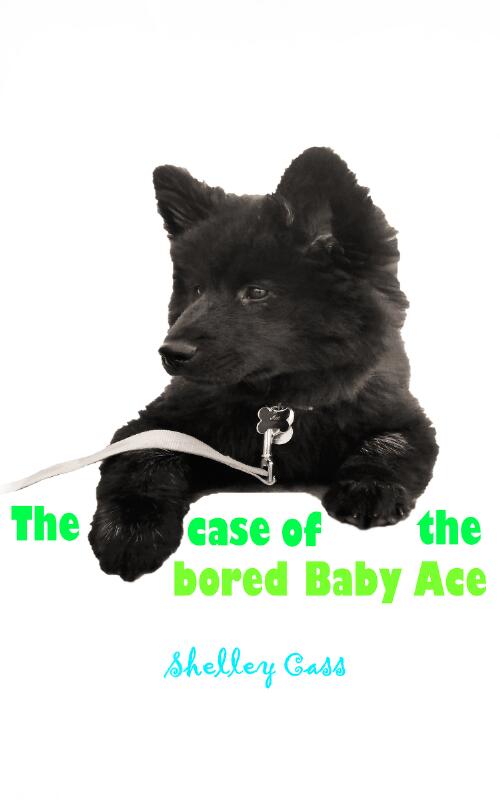 The case of the bored baby ace / Shelley Cass