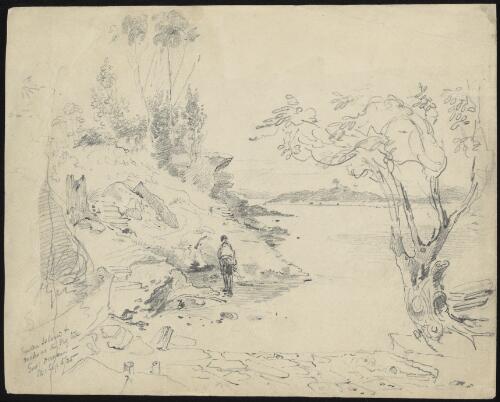 Garden Island and rocks at the fig tree, Government Domain, Sydney, 5 September 1835 [picture] / [Robert Russell]