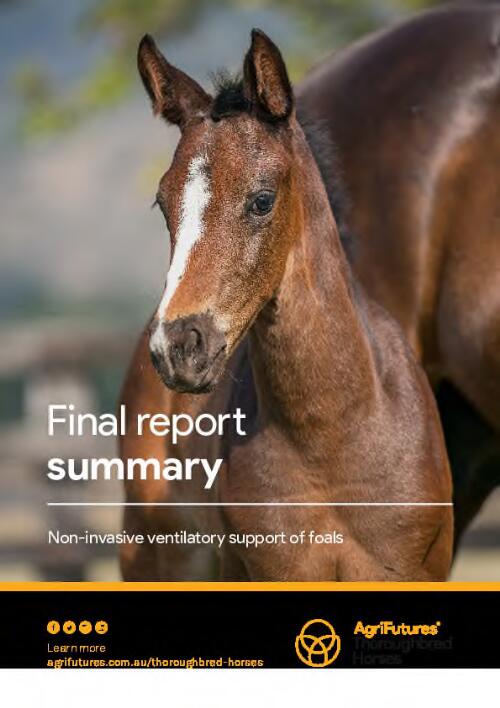 Final report summary : non-invasive ventilatory support of foals / Professor Sharanne Raidal