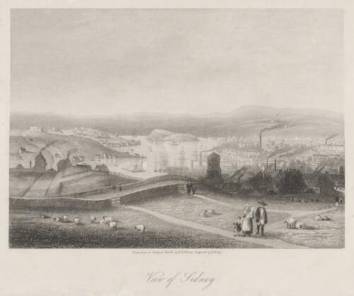 View of Sydney [picture] / drawn from an original sketch by W.H. Wilson, engraved by H. Bibby
