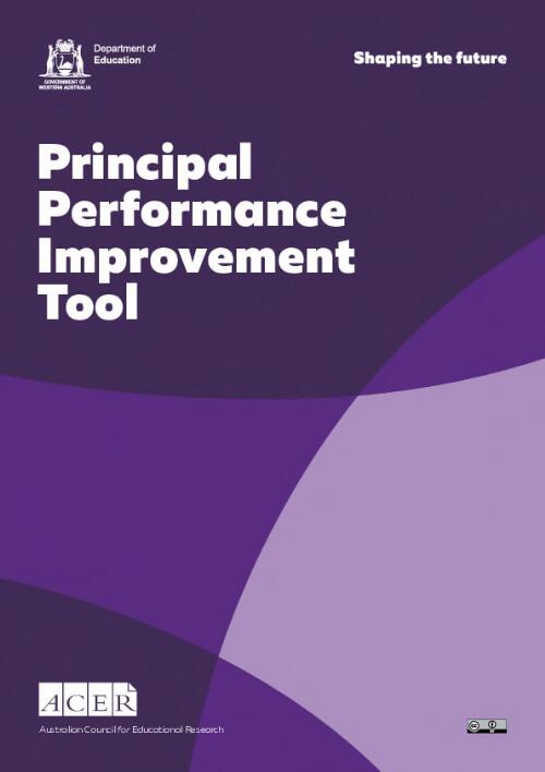 Principal performance improvement tool