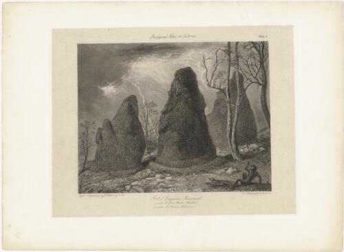 Foot of Diogenes Monument, 4 miles N. from Mount Macedon, 40 miles NW. from Melbourne [picture] / effect & engraving by J. Redaway & Sons, W. v. Blandowski, Australia