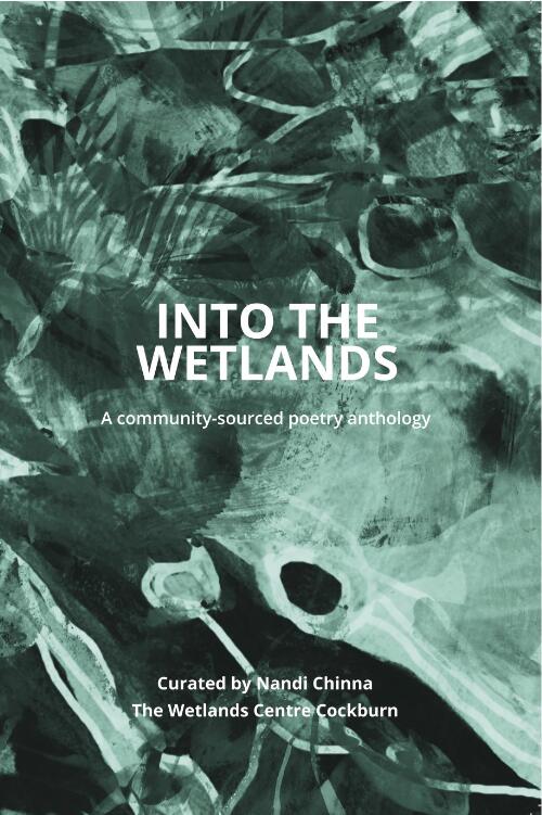 Into the Wetlands