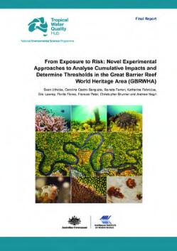 From exposure to risk : novel experimental approaches to analyse