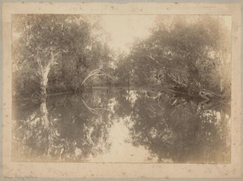 View of Daly Waters, Northern Territory, approximately 1886