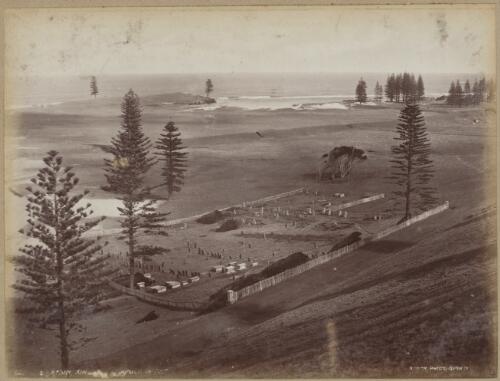 Cemetery, Kingston, Norfolk Island, approximately 1890 / Charles Kerry