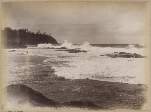The beach at Kingston, Norfolk Island, approximately 1890 / Charles Kerry
