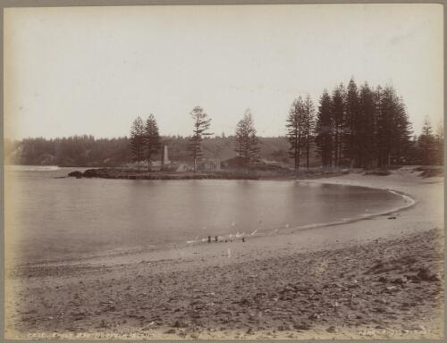 Emily Bay, Norfolk Island, approximately 1890 / Charles Kerry