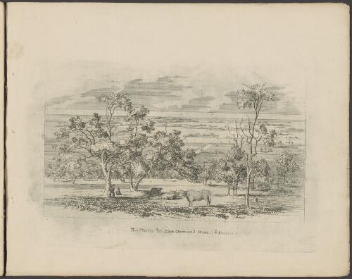The plains from Glen Osmond Mine, Adelaide [picture] / F.R. Nixon