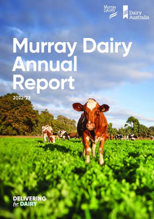 Murray Dairy annual report
