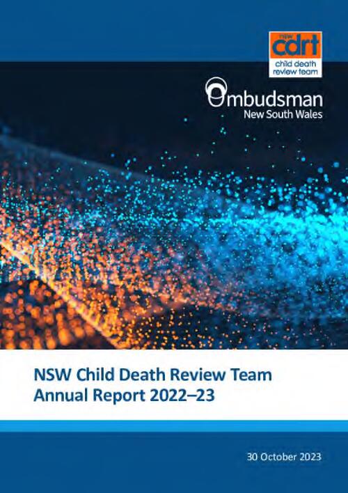 Annual report / NSW Child Death Review Team