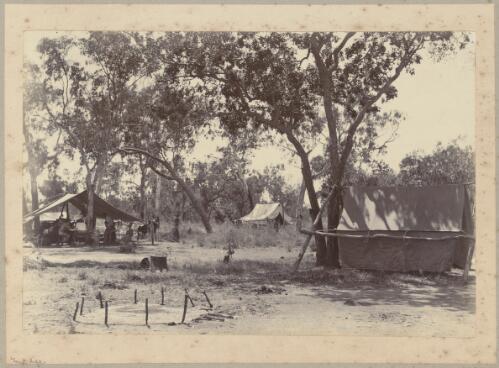 Tents pitched at camp site, Daly Waters, Northern Territory, approximately 1886