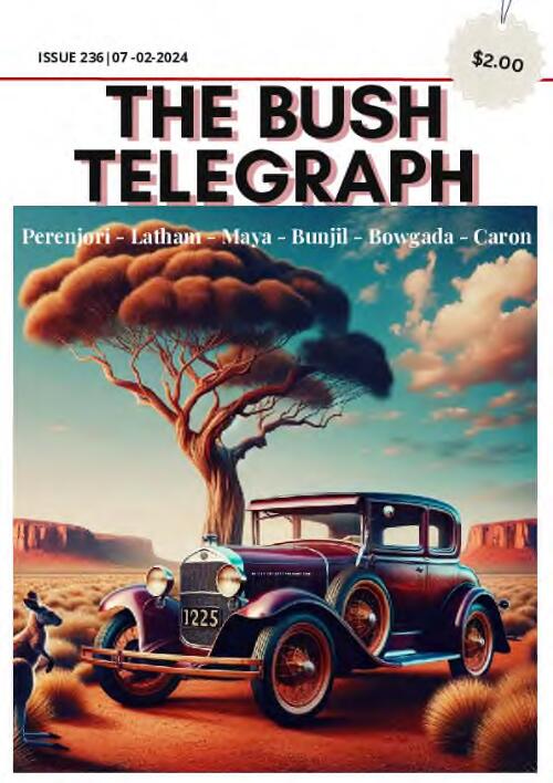 The bush telegraph / Perenjori Community Resource Centre