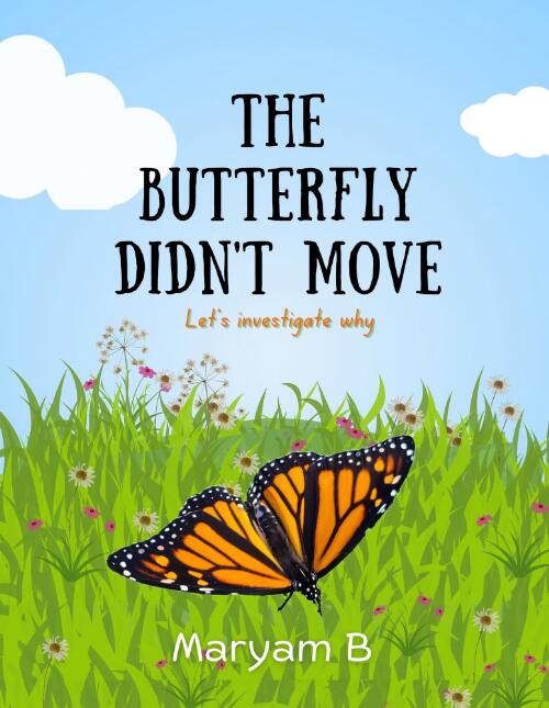 The Butterfly Didn't Move : Let's investigate why