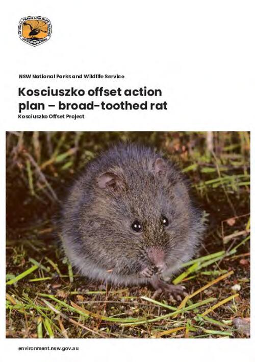 Kosciuszko offset action plan – broad-toothed rat